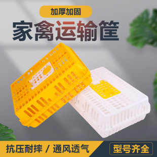 �����u�\�\ݔ�\�ش���u���D���u���Z�û\���\�����u��Ӻ��u�\��