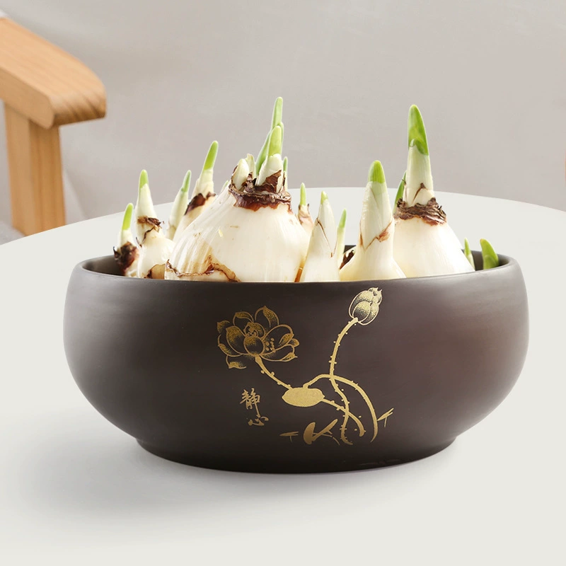 Фиолетовый песок Нарцисс Цветочный горшок Бытовая медь Деньги Трава Гидропонные Водяные лилии Чаша Горшок лотоса Керамический большой диаметр Поднятие воды Зеленый горшок для растений оптом