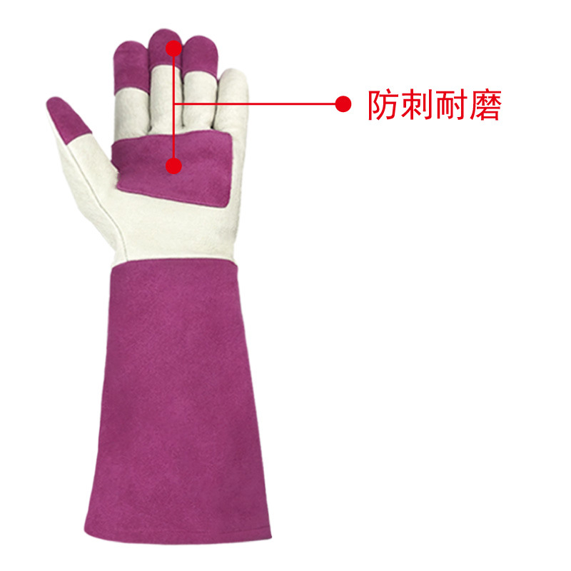Verde de equitación largo Jardín de jardinería guantes de piel de cerdo resistente al desgaste de la apicultura a prueba de golpes de absorción de choque resistente a las puñaladas Amazon transfronteriza anti-escaldadura