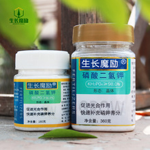 生长魔励磷酸二氢钾水溶肥催花肥 家庭园艺罐装肥料花卉叶面肥