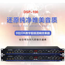 LAIKESI DSP100前级效果器 HI房卡拉OK前级KTV数码效果器舞台周边