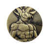 Dragon Ball, Japanese coins, bronze commemorative medal