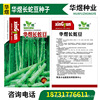 Huayu Snake Bean Seed Manufacturer wholesale Snake Bean Snake Snake -shaped Bean Corner Sowing Seed Vested Vegetables