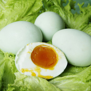 ����ɏ��ɳ���خa�t�����͵��������r��ɢ�B���������ɢ�b20ö