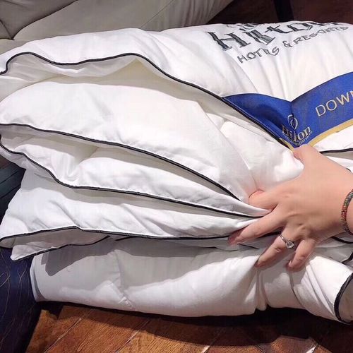 Direct selling duvet autumn and winter thickened warm quilt Hilton hotel hotel goose down quilt core gift group purchase and delivery