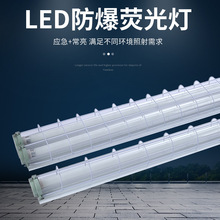 批发防爆荧光灯LED三防灯车站化工厂用双管单管LED防爆灯led