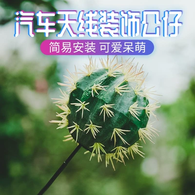 Car Roof Modification Cactus, vehicle antenna