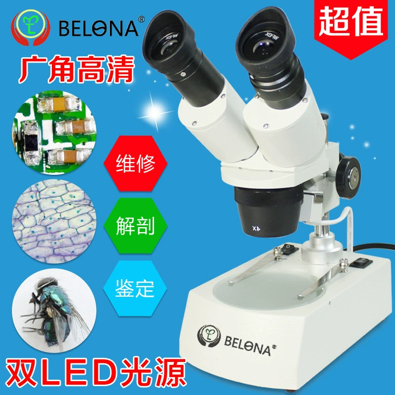 BELONA Бинокулярный визуальный микроскоп 20X-40X Умножение Светодиодная лампа Ремонт/Анатомия/Идентификация
