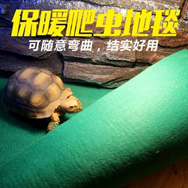 诺摩爬虫地毯怎么选?角蛙守宫吸水保湿垫材指南