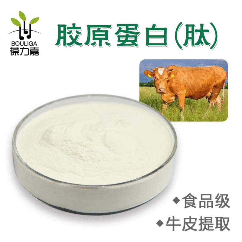Hydrolyzed Bovine Collagen Powder Bovine Collagen Peptide Bovine Collagen Peptide Powder Small Molecule Peptide
