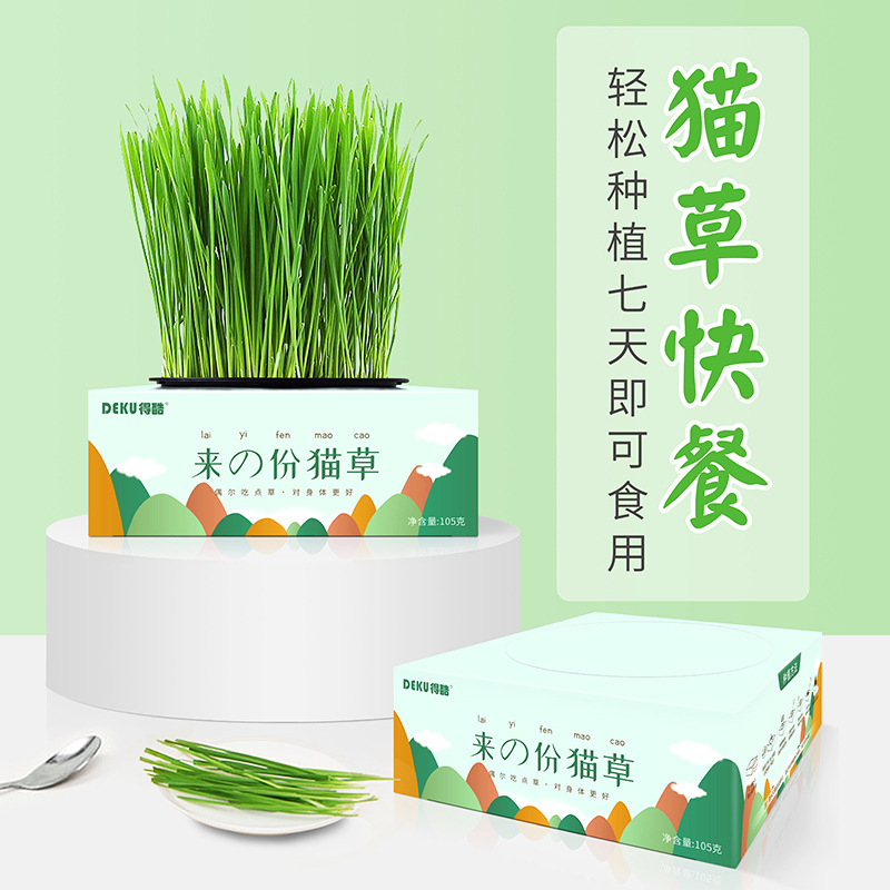 Catnip Cat Snacks Hairball Remover Cat Grass Seeds Planting Kit Cat Supplies Pet Hair Removal Pet Cat