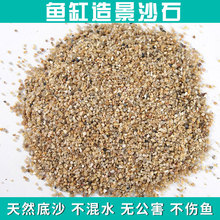 供应海沙 水草砂 鱼缸底砂 水族装饰造景专用黄金沙 花盆铺面彩砂