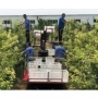 修剪升降履带式果园搬运车