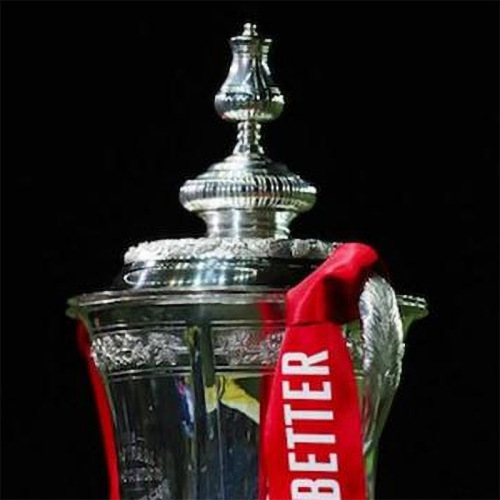 Premier League Trophy, England FA Cup 1:1 Trophy, Premier League Football Souvenir, Fan Decorative Item, Gift
