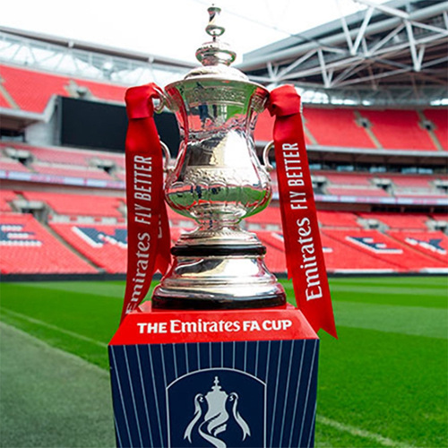 Premier League Trophy, England FA Cup 1:1 Trophy, Premier League Football Souvenir, Fan Decorative Item, Gift