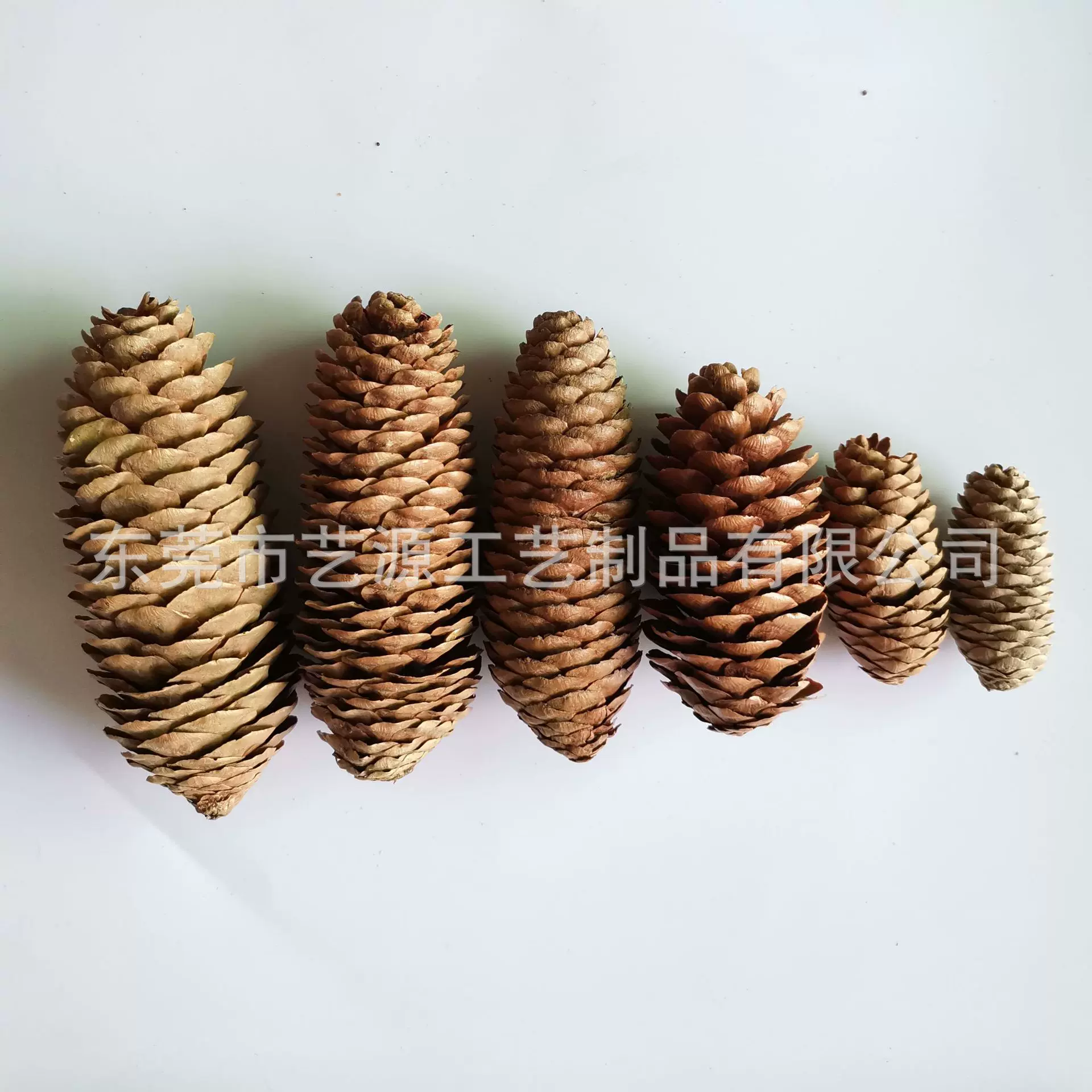 1kg松果云杉果长松塔白松果圣诞手工艺装饰挂件摆件拍摄道具批发