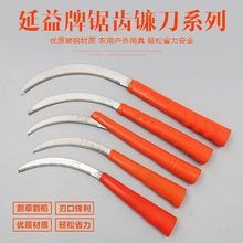 ������X砵���砵���ˮ��С��砵����~�ݵ�����砵����P�砵�