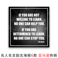 亚马逊希拉里名人名言海报 辛顿齐格勒喷绘帆布画芯黑白卧室挂画