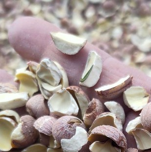 ��ɏ�ӽ����ͼtɏ��Ƭ500�˺�����̶ɏ�Ӹ�؛���l�a�����l