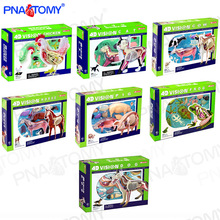 4D MASTER �������ƴ�bģ��DIY؈���̌Wչʾ���� �i �R ţ�u����