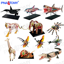 4D MASTER ����ƴװģ��DIY�ٶ�������Ʒ�����������㾨�㺣�໢