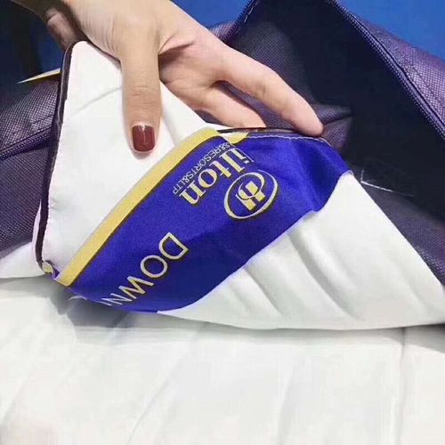 Direct selling duvet autumn and winter thickened warm quilt Hilton hotel hotel goose down quilt core gift group purchase and delivery