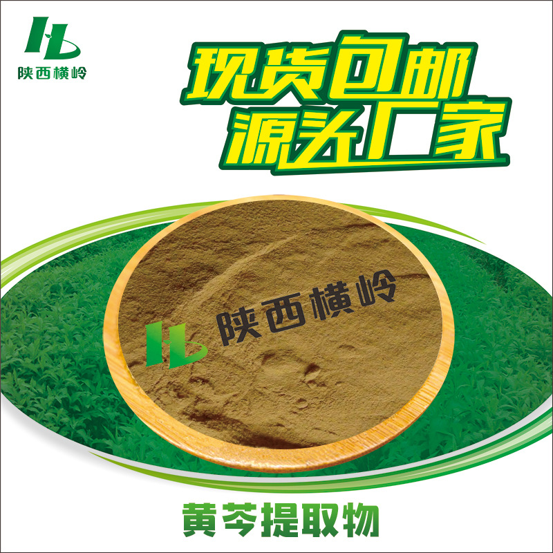 黄芩提取物 30:1黄芩粉 山茶根萃取 黄芩苷/黄芩素 水溶 横岭供应
