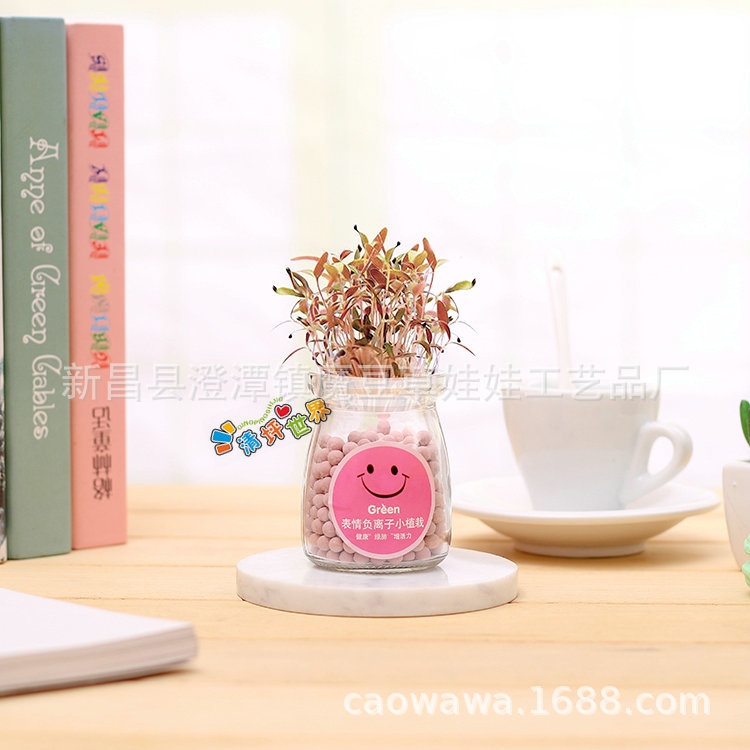 С����������ˮ������diyֲ�� �칫�����沣����ֲ���ܾ���