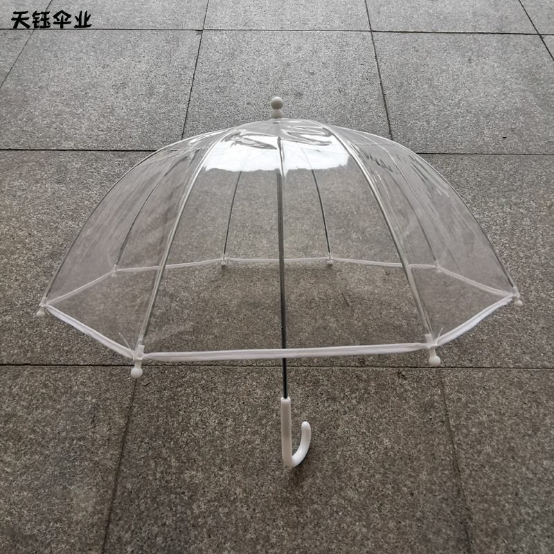 Thick Steel Frame Transparent Children's Umbrella Street Style Internet Celebrity Mushroom Umbrella Windproof Rainproof Anti-Pinch Long Handle Umbrella with Logo Print