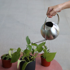 Portable long-spout watering can made of metal and stainless steel, perfect for flower care—spherical design, ideal for cross-border use in gardens, indoor plants, and potted greenery.