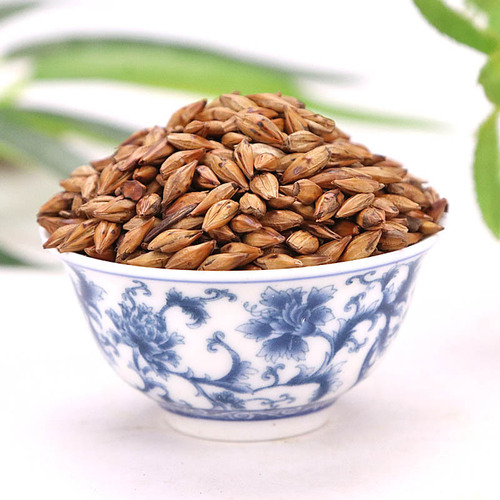 Flower Source Hall Barley Tea, Bulk New Baked Barley Tea for Hotel Use - 500g, Manufacturer, Large Quantity Available
