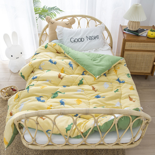 Wholesale children's quilts washable cotton air-conditioning summer quilt kindergarten nap quilt winter quilt core student spring and autumn thin quilt