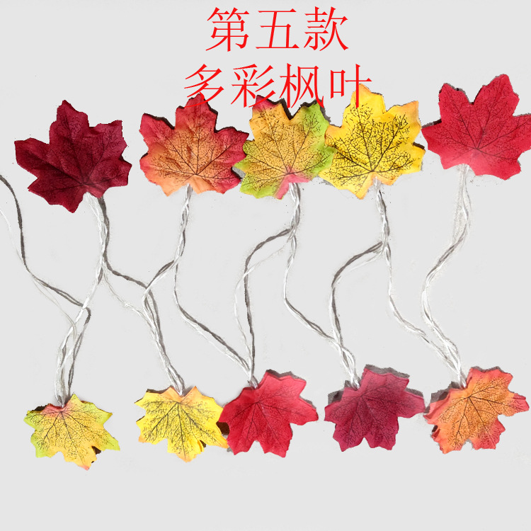 다채로운 다섯 번째 단락