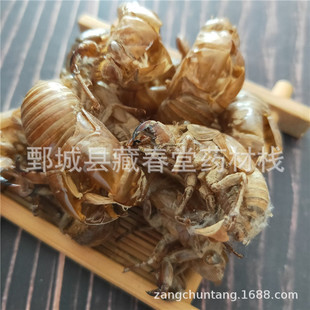 �s͑500g ��ș�ĬF؛���l�������s͑����؛����ă�