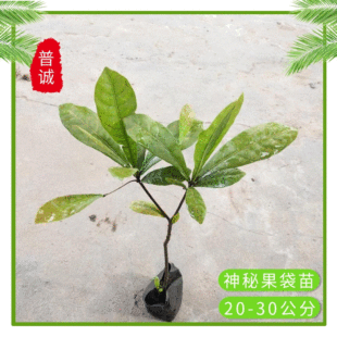 �S�����l���ع�����׃ζ��ͥԺ�̨�ļ������^��������՚����^