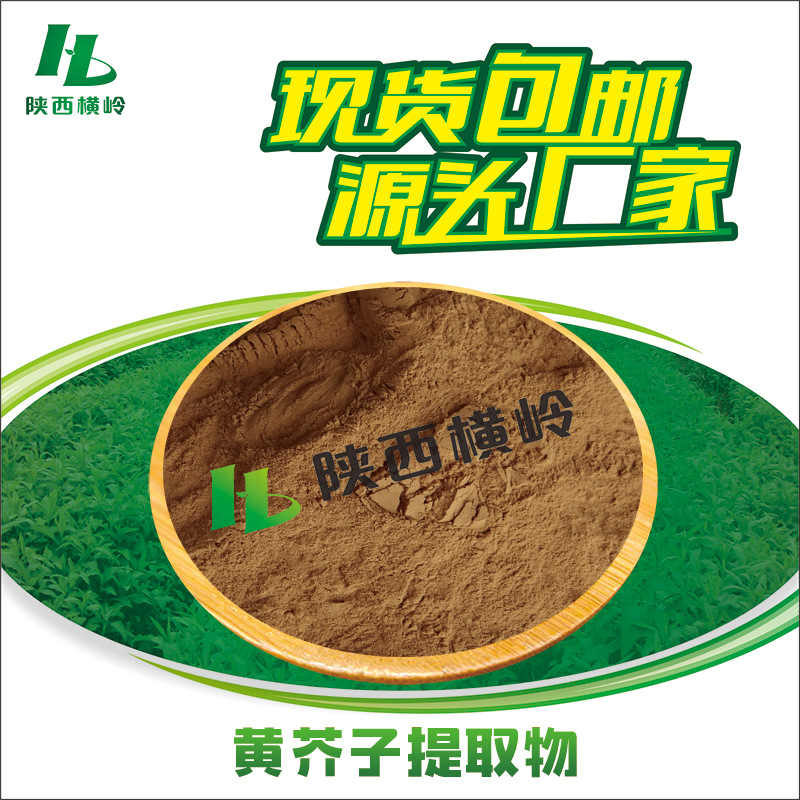 黄芥子提取物 30:1黄芥子粉 芥菜籽/芥子提取物 水溶性 量大优惠