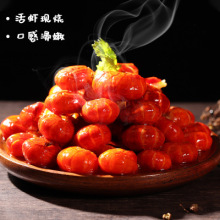 新货鲜活冷冻大SSSS级龙虾尾整箱9斤虾尾烧烤麻辣虾球海鲜包邮