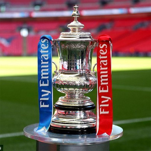 Premier League Trophy, England FA Cup 1:1 Trophy, Premier League Football Souvenir, Fan Decorative Item, Gift