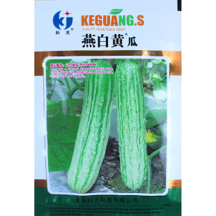 ����S�ϷN�ӷN���ݴ��������߲��Ϸ��ļ��ѷN���Ѳ˷N�＾���S��