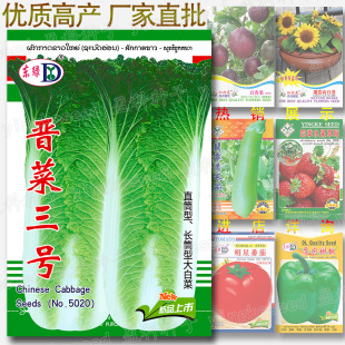 �x����̖�N�� �LͲ�ͽY��ײ� ֱͲ�ײ˷N�� �LͲ��ײ˷N�����l