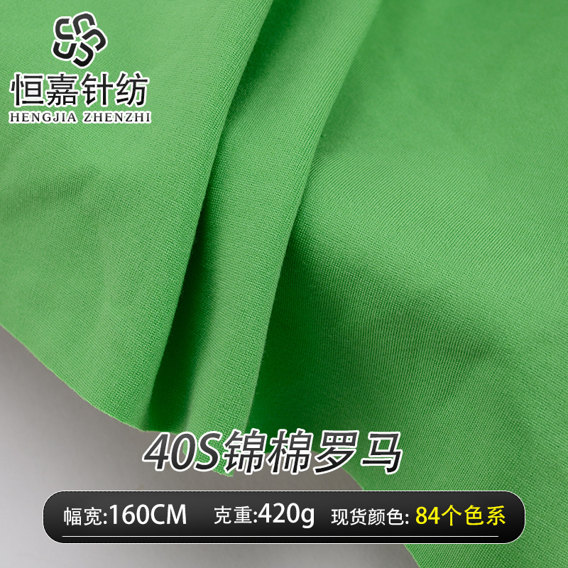 NR人棉罗马弹力布 锦棉罗马针织面料 秋冬加厚西装女装连衣裙布料