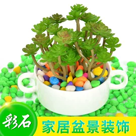 鱼缸;造景石;造景/装饰