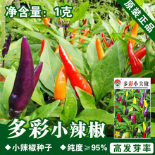 С⽷NС⽷^p߲Nļ̨ͥ@ˇN