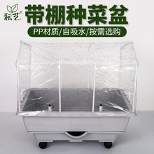 厂家批发韩式塑料花盆菜盆自动供水阳台长方形无需浇水带棚种菜盆