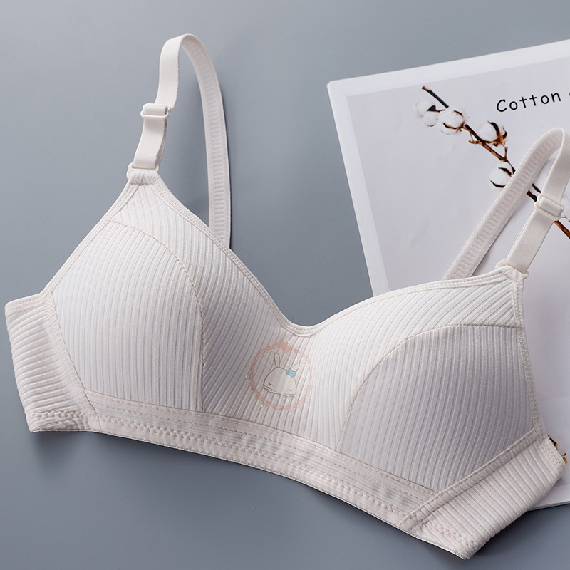 Otoño e Invierno nuevo algodón chica estudiante rayas ropa interior inalámbrica reunidos taza delgada sujetador transpirable cómodo fábrica al por mayor