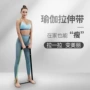 阻力训练腿部瑜伽拉力器