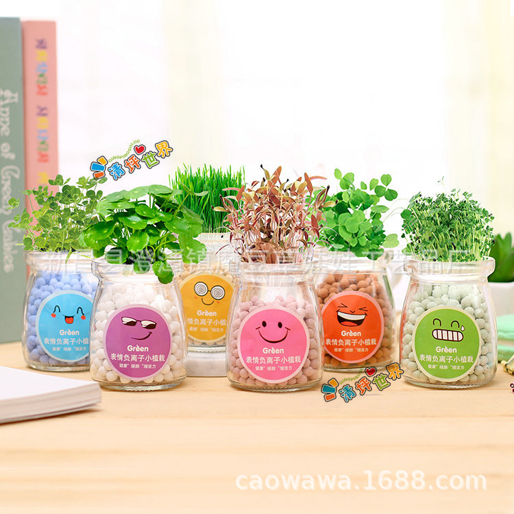 С����������ˮ������diyֲ�� �칫�����沣����ֲ���ܾ���