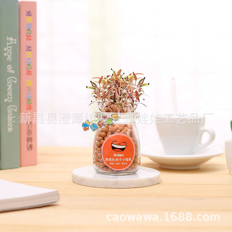 С����������ˮ������diyֲ�� �칫�����沣����ֲ���ܾ���