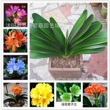 �²ɶ�Ʒ�N�����m �A�^���� ȸ�m �S���� ���~�M�m ���gָ���lѿ