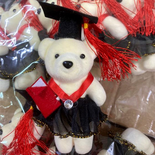 Student Gifts Wholesale Graduation Bear Men and Women Dr. Bear Doll Teacher's Day Gift Cartoon Doll Bouquet